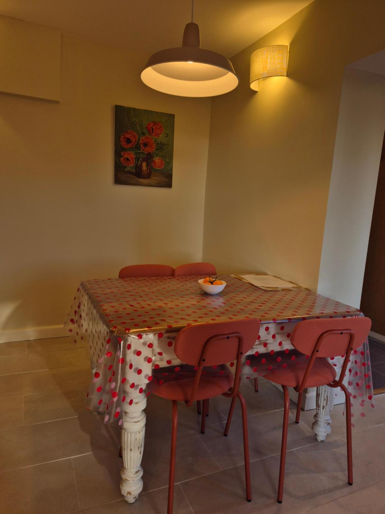 Large Victorian Garden Flat With Views Of Centre